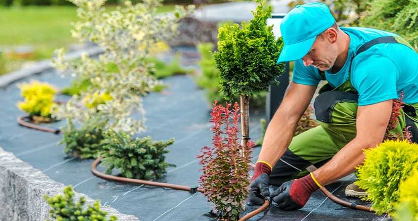 Impianti di Irrigazione Catania e Provincia