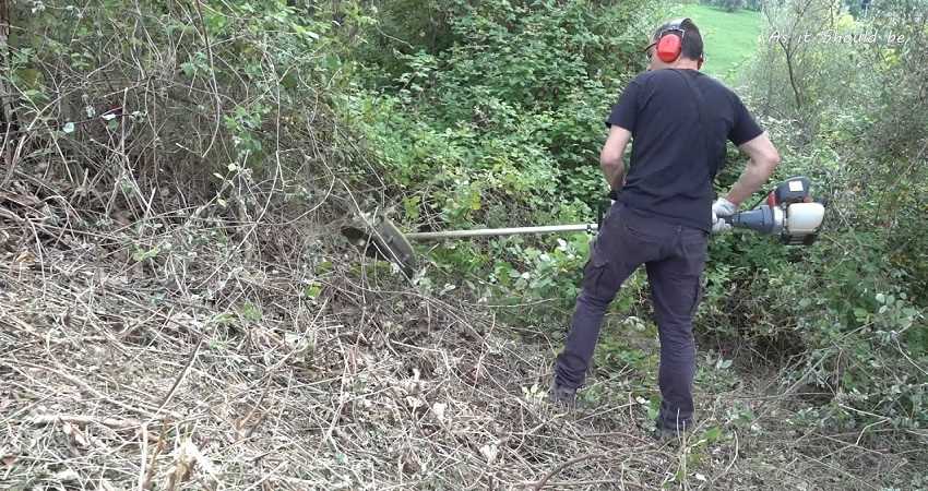 Pulizia Terreni Incolti e Abbandonati Catania